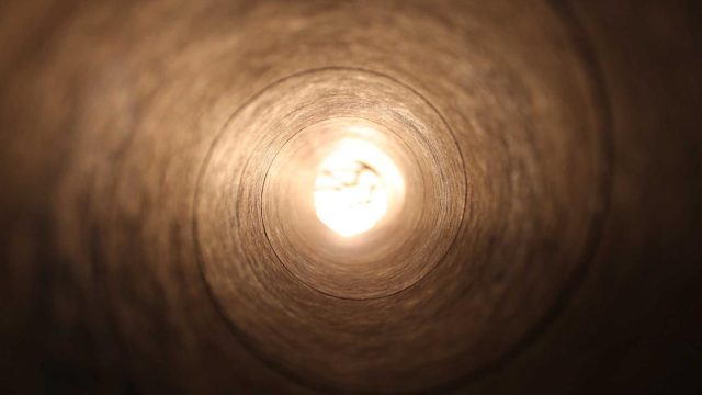 AI-Powered Investment Tools: Are They Worth Your Money?