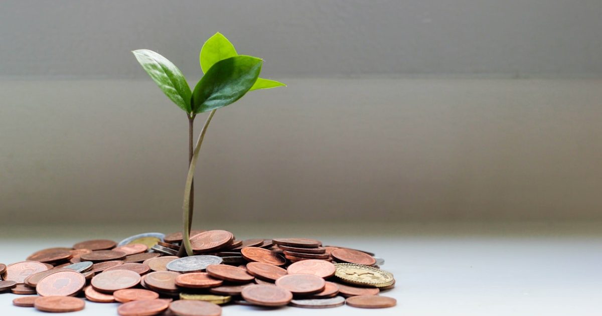 The 50/30/20 Rule Explained: A Beginner’s Guide to Budgeting